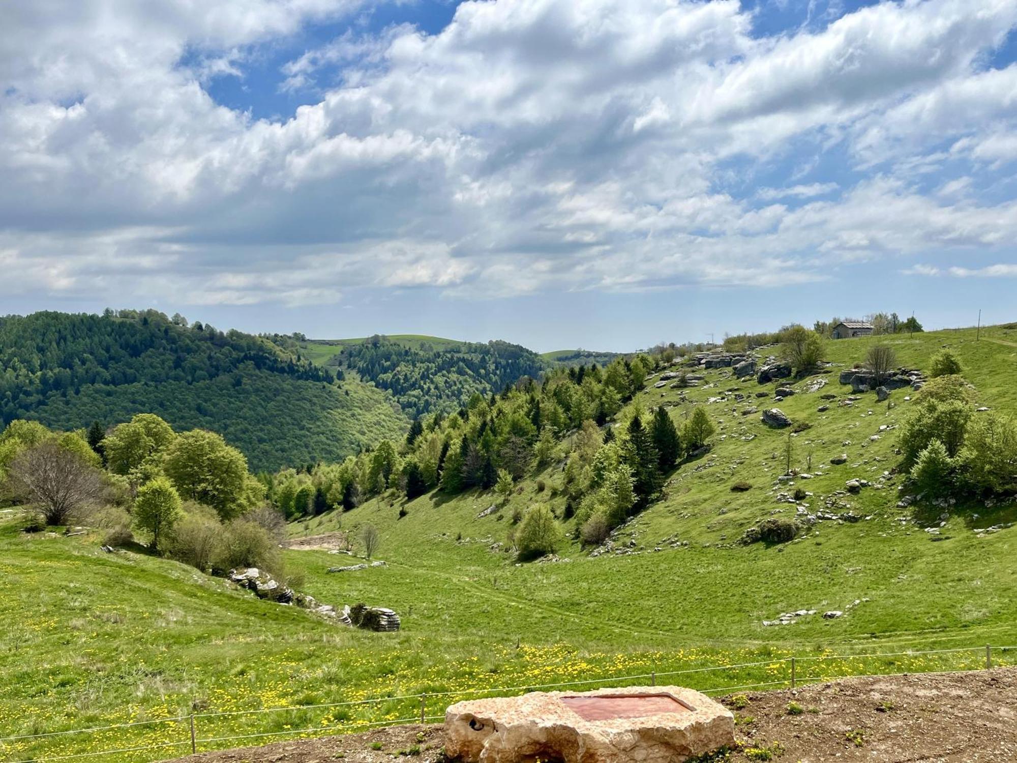 Вилла Agriturismo Malga Rambalda Selvavecchia Экстерьер фото
